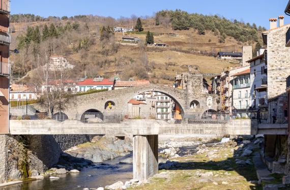 Camprodon i voltants